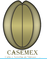 Logo Casemex